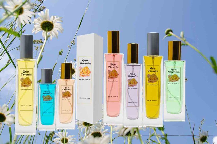 Perfume equivalente Egoiste Platinum Chanel