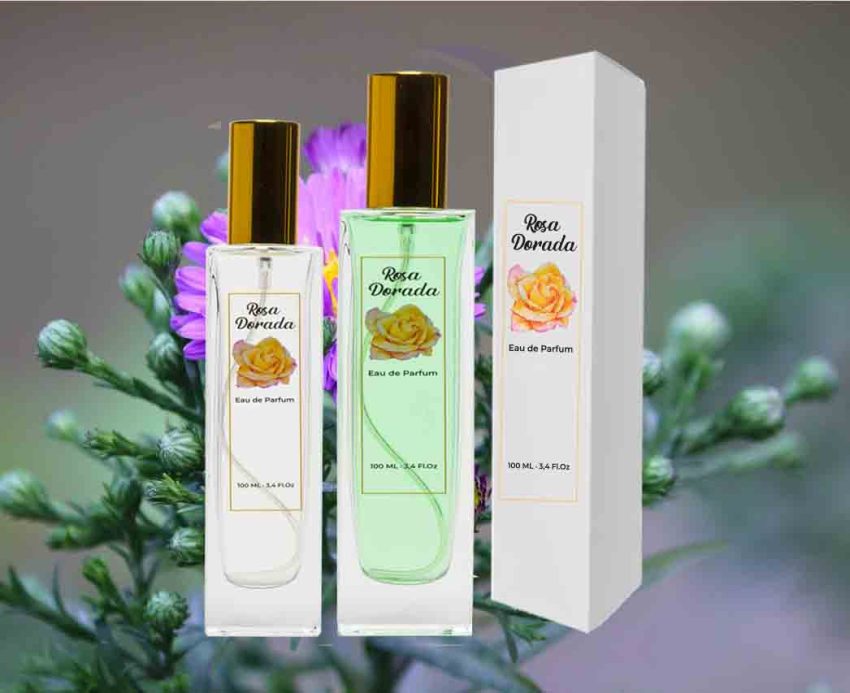 Perfume equivalente Le Male JPG