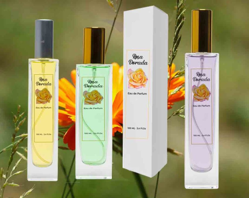 Perfume equivalente Alien Man Thierry Muglee