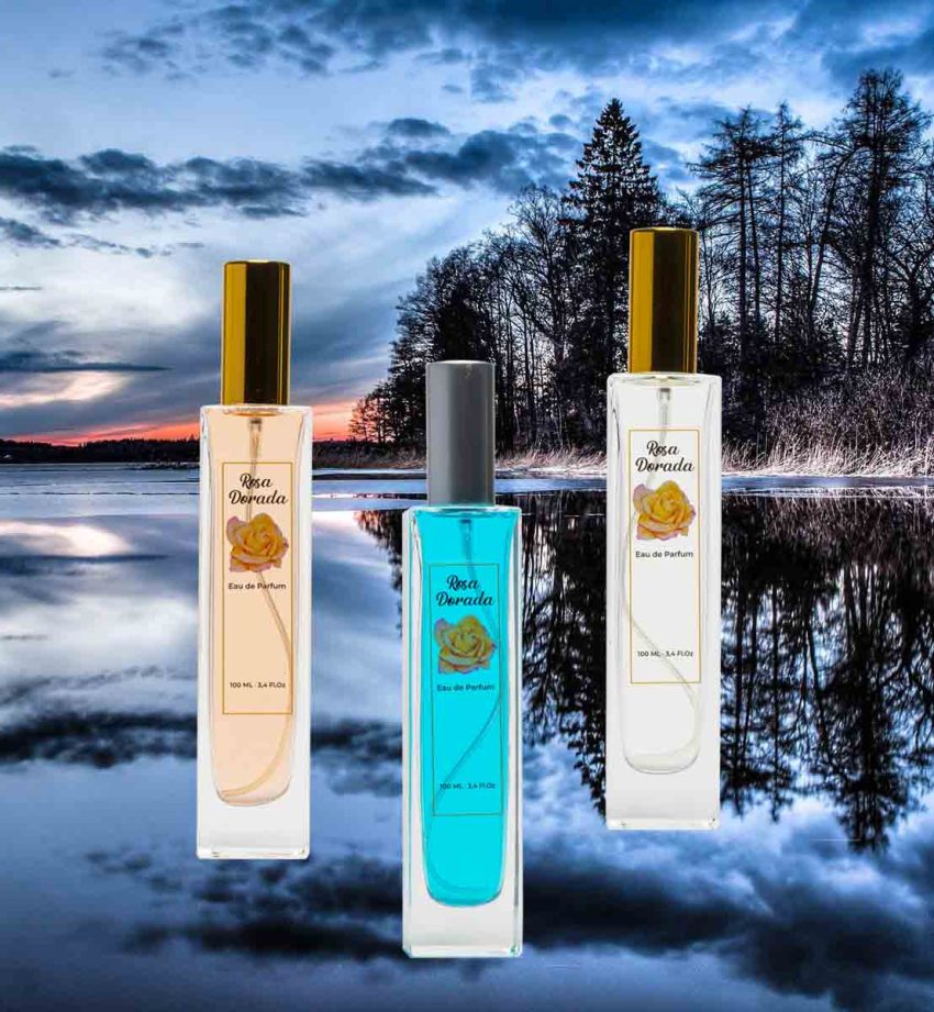 Perfume equivalente La Beau Jean Paul Gaul