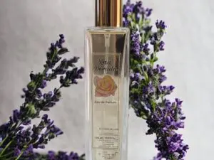 Perfume Equivalente a NARCISO POUDRE