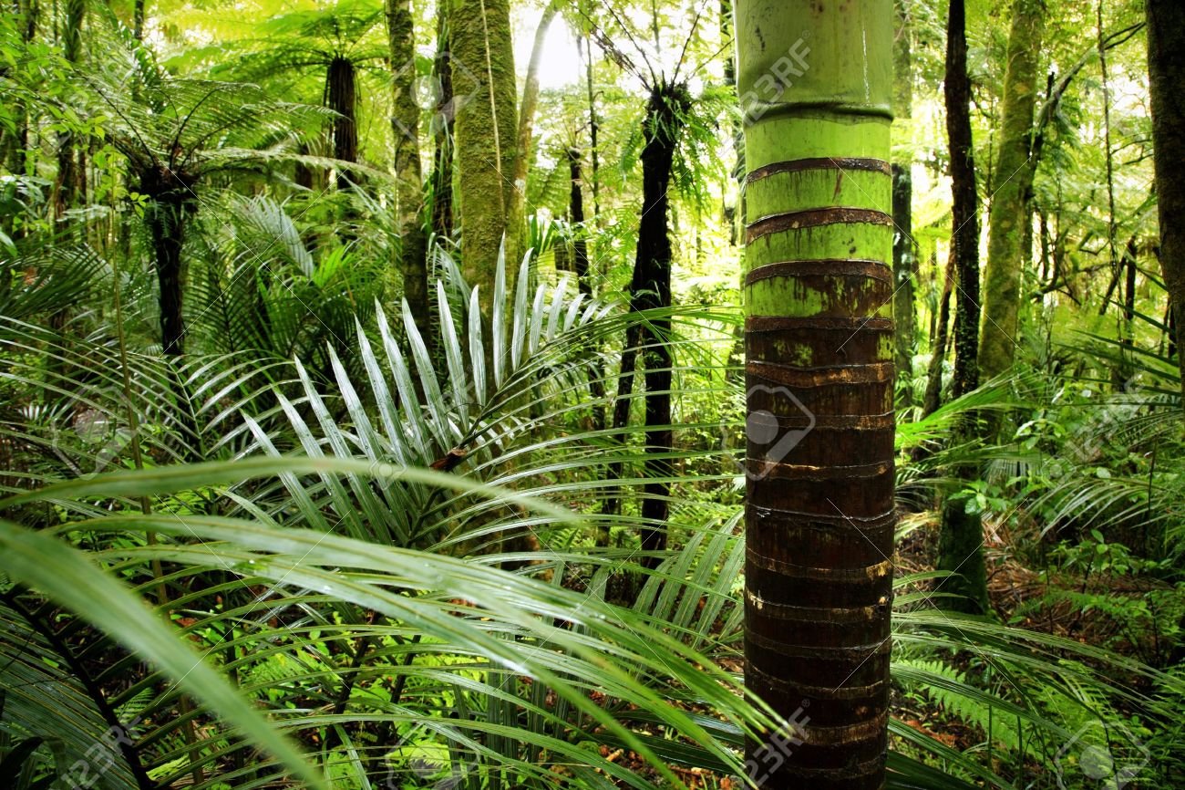 Perfume Similar a Erba Pura Xerjoff