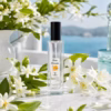 Notas de corazón – perfume equivalente a Neroli Portofino Tom Ford unisex Notas de corazón del perfume equivalente a Neroli Portofino Tom Ford unisex: neroli, azahar, jazmín y azahar de la China