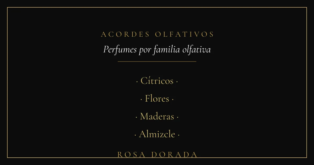 Acordes olfativos - perfumes por familia olfativa