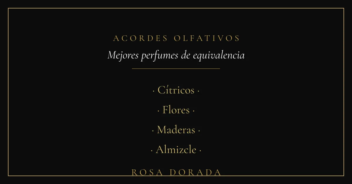 Acordes olfativos - perfumes de equivalencia