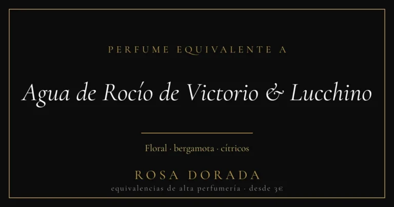 Perfume equivalente a Agua de Rocío de Victorio & Lucchino