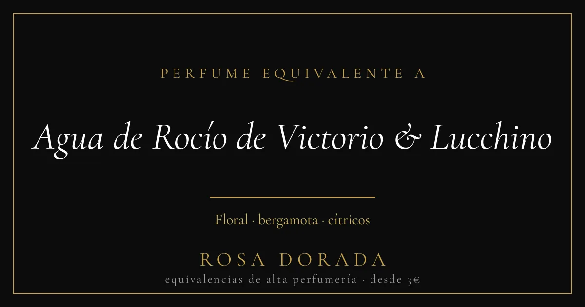 Perfume equivalente a Agua de Rocío de Victorio & Lucchino