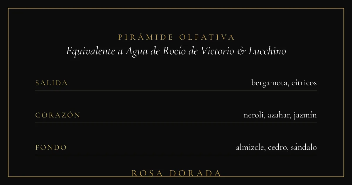Pirámide olfativa equivalente a Agua de Rocío de Victorio & Lucchino