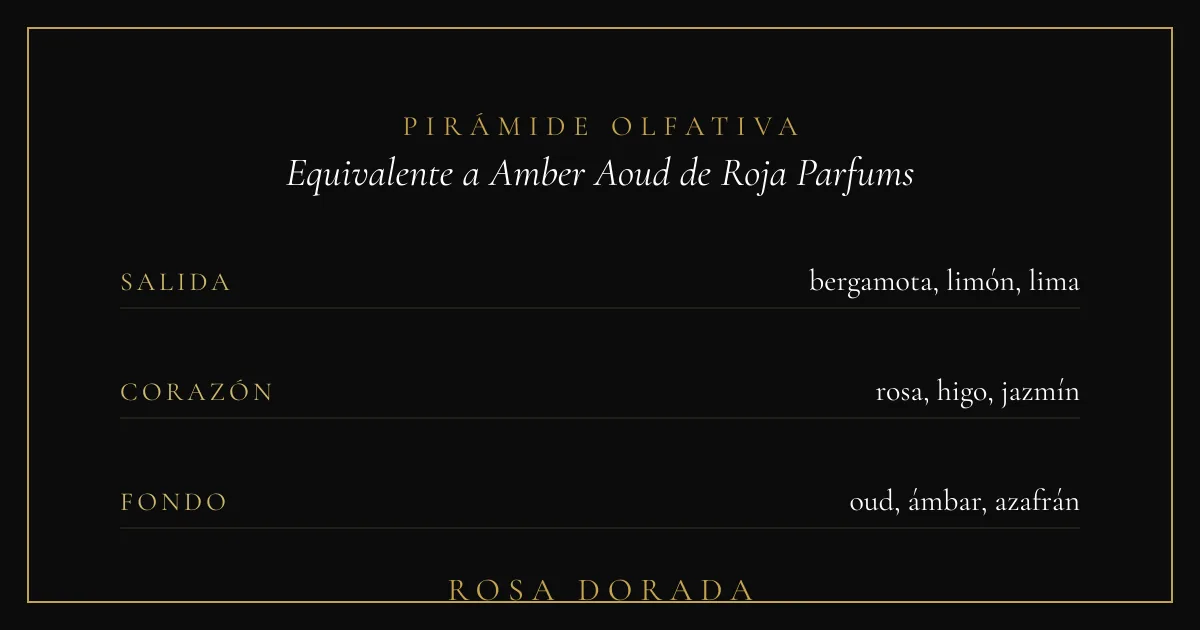 Perfume equivalente a Amber Aoud de Roja Parfums: la mejor equivalencia 2 Pirámide olfativa equivalente a Amber Aoud de Roja Parfums