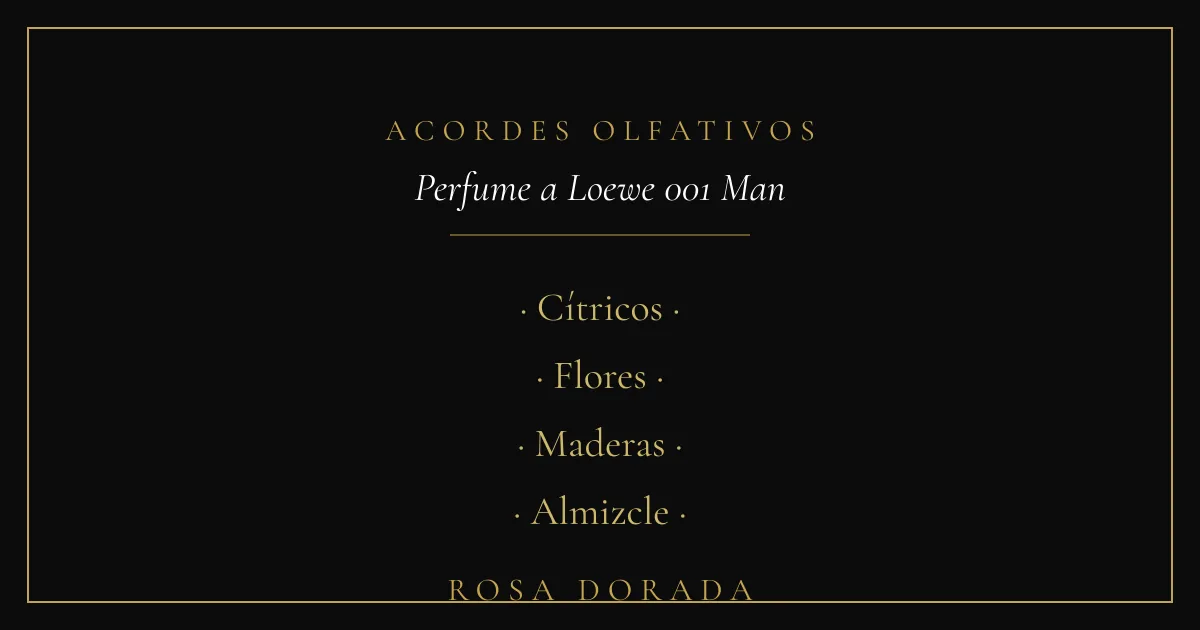Acordes olfativos - perfume equivalente a Loewe 001 Man