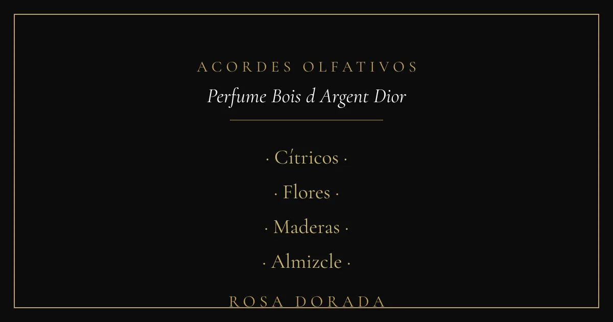 Acordes olfativos - perfume equivalente Bois d'Argent Dior