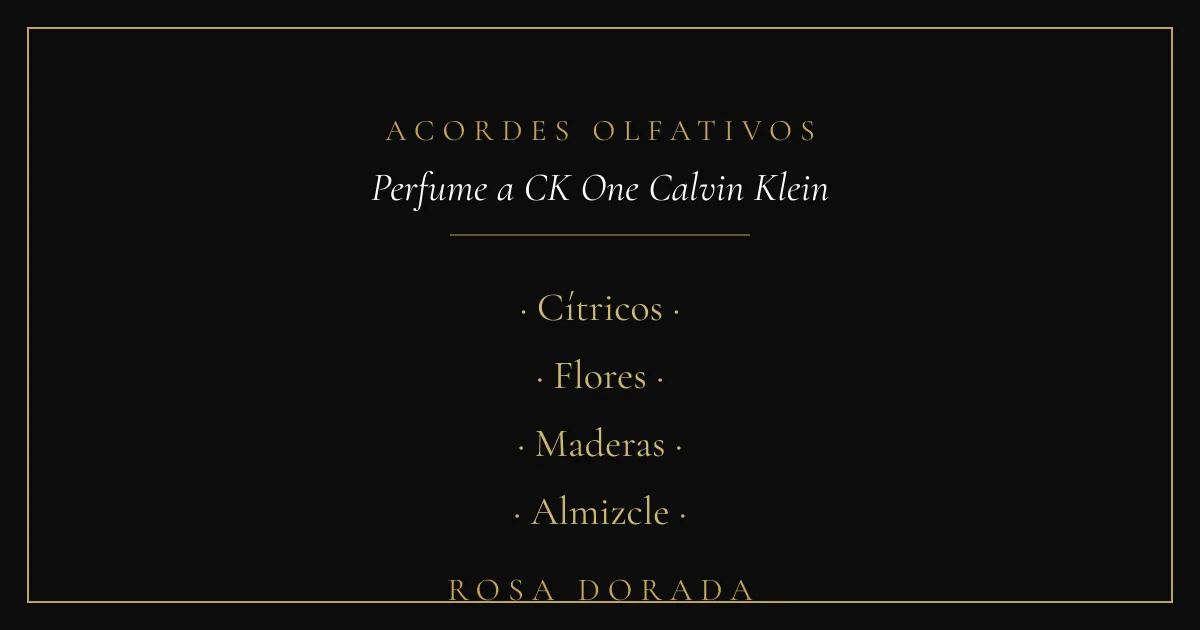 Acordes olfativos - perfume equivalente a Calvin Klein One