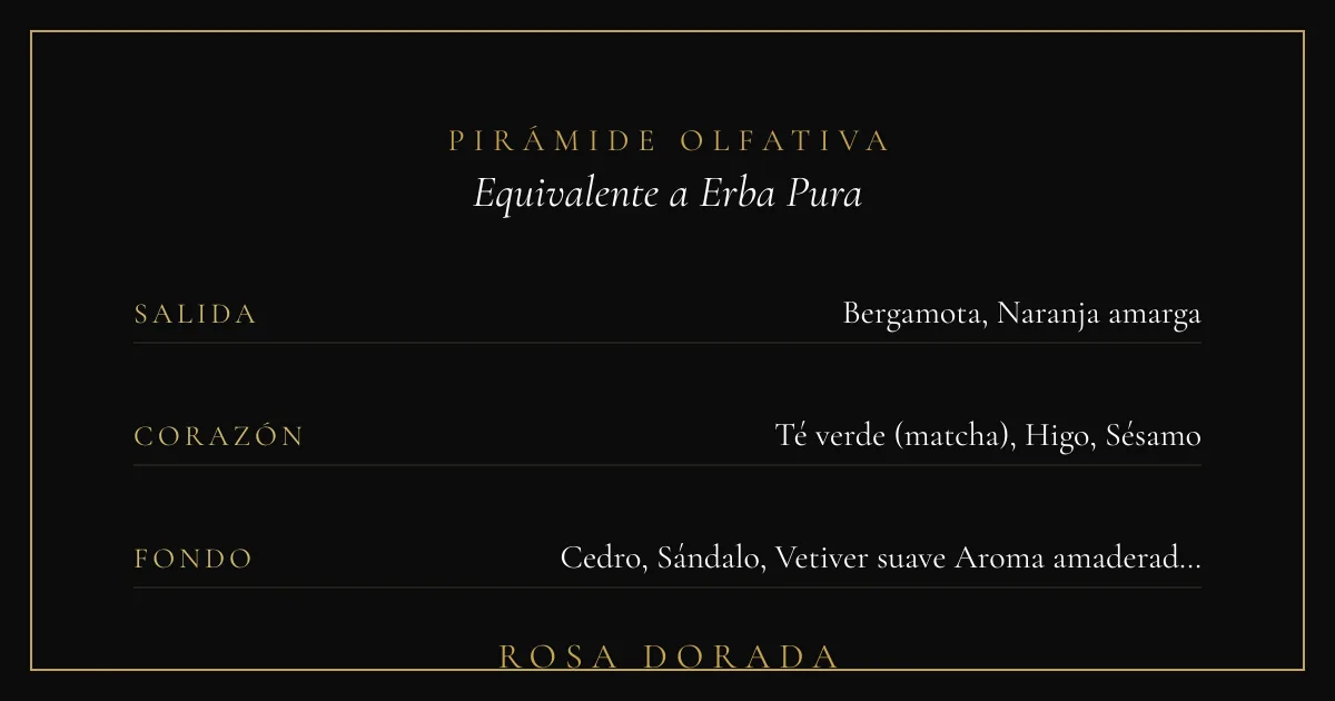 Pirámide olfativa equivalente a Erba Pura Xerjoff