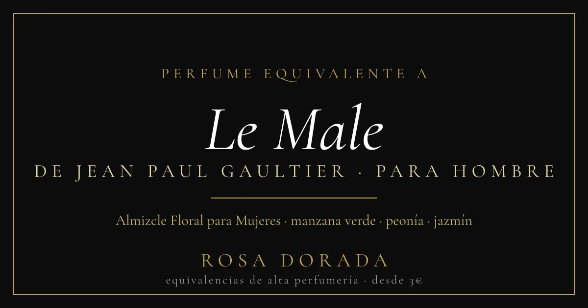 Perfume equivalente a Le Male Jean Paul Gaultier hombre