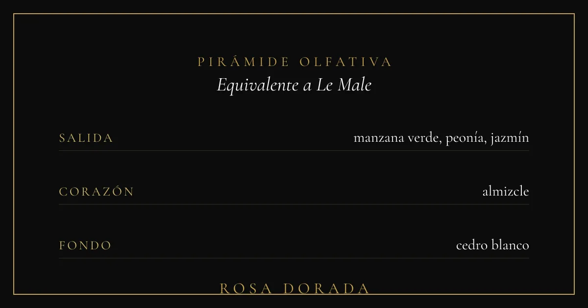 Pirámide olfativa equivalente a Le Male Jean Paul Gaultier