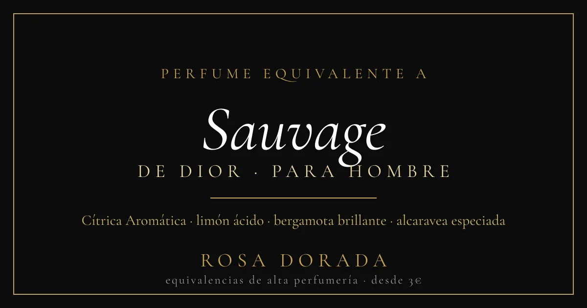 Perfume Equivalente a Sauvage Dior Hombre: La Alternativa que Buscas 1 Perfume equivalente a Sauvage Dior hombre