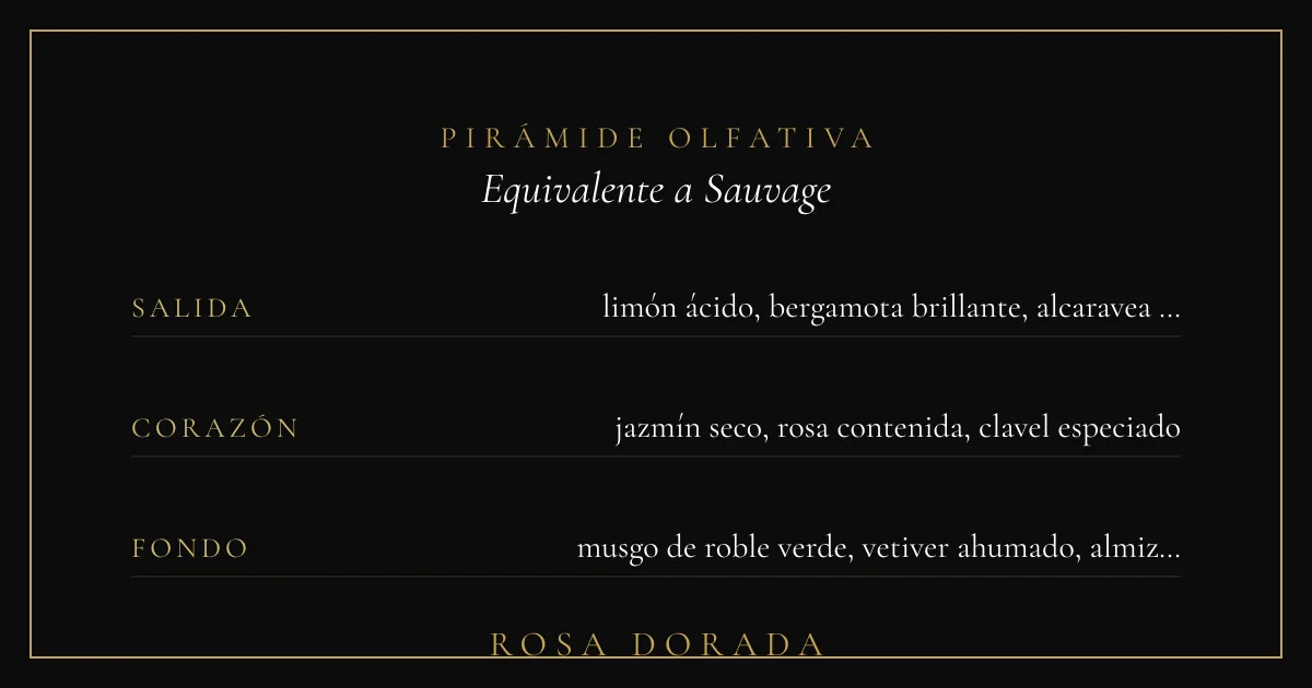 Perfume Equivalente a Sauvage Dior Hombre: La Alternativa que Buscas 2 Pirámide olfativa equivalente a Sauvage Dior