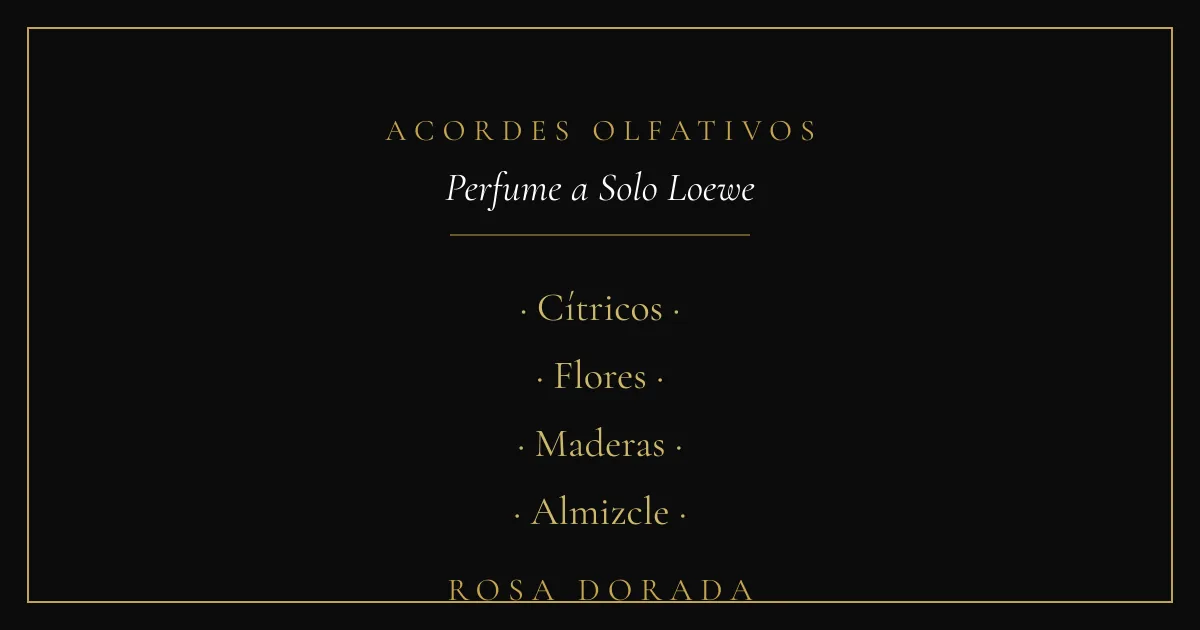 Acordes olfativos - perfume equivalente a Solo Loewe