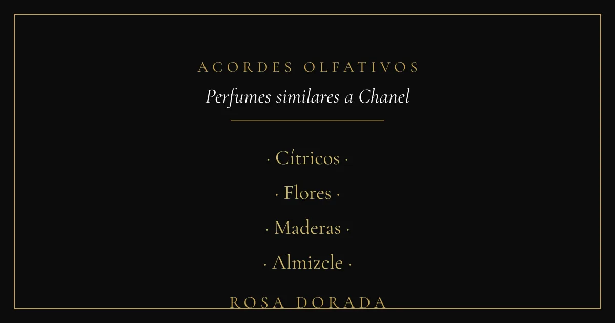 Acordes olfativos - perfumes similares a chanel