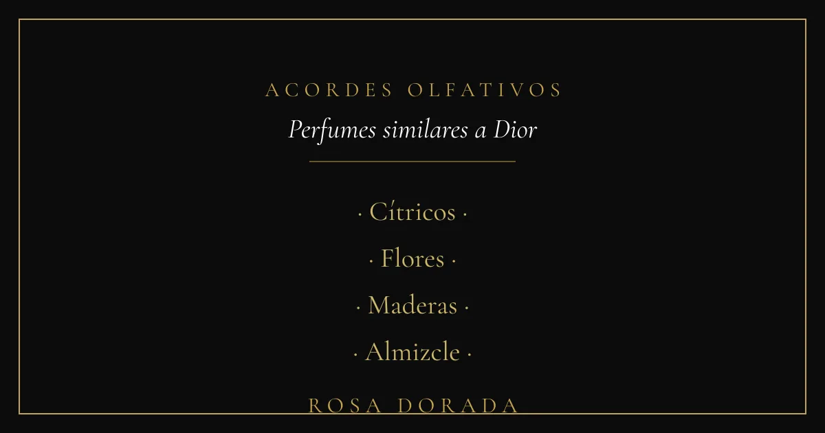 Acordes olfativos - perfumes similares a dior