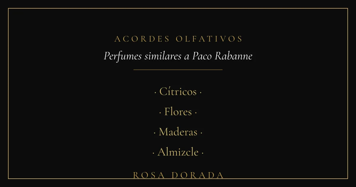 Acordes olfativos - perfumes similares a paco rabanne