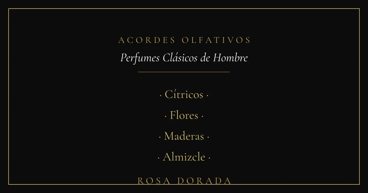 Acordes olfativos - perfumes clásicos de hombre