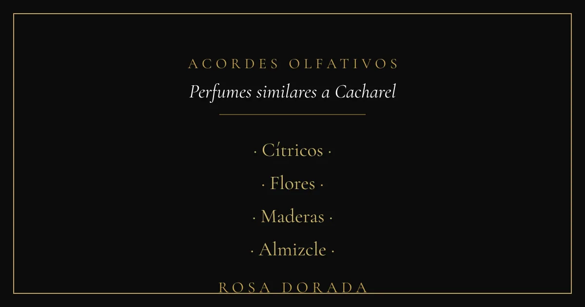 Acordes olfativos - perfumes similares a cacharel