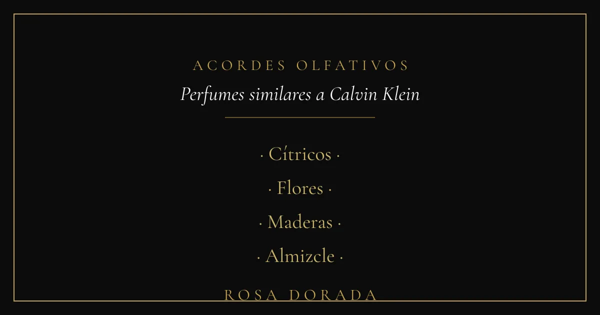 Acordes olfativos - perfumes similares a calvin klein