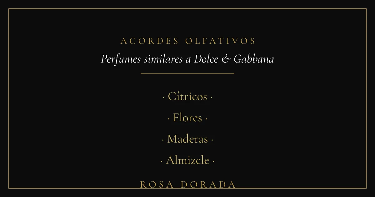 Acordes olfativos - perfumes similares a dolce & gabbana
