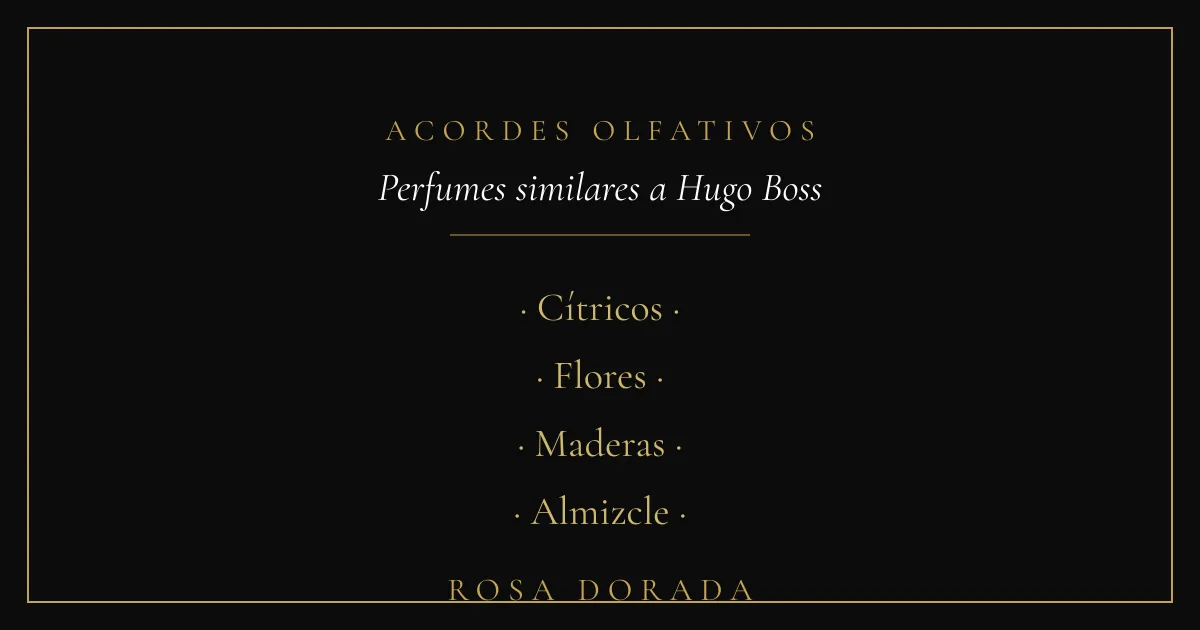 Perfumes similares a Hugo Boss: las mejores equivalencias 2 Acordes olfativos - perfumes similares a hugo boss