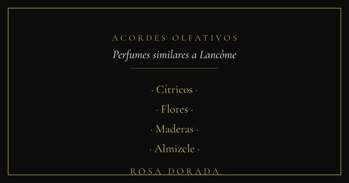 Perfumes similares a Lancôme: las mejores equivalencias 2 Acordes olfativos - perfumes similares a lancôme