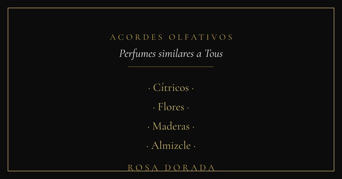 Perfumes similares a Tous: las mejores equivalencias 2 Acordes olfativos - perfumes similares a tous