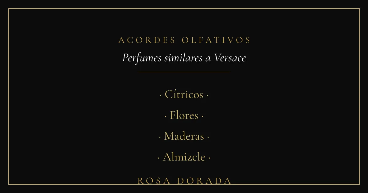 Acordes olfativos - perfumes similares a versace