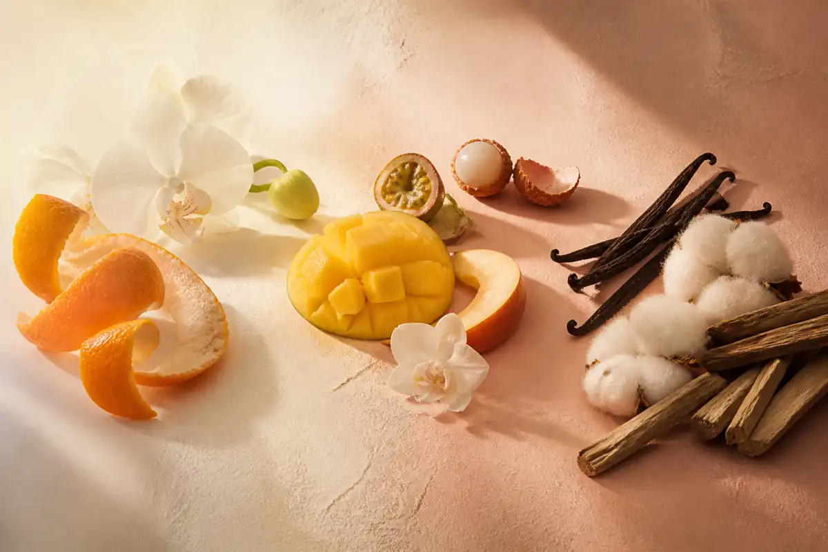 Perfume Equivalente a Yara de Lattafa: Guía Completa 2026 3 Evolución del perfume equivalente a Yara desde las flores y la tangerina hasta el fondo cremoso