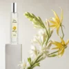 Notas de corazón del perfume similar a Lacoste L.12.12 White para hombre Notas de corazón del perfume similar a Lacoste L.12.12 White para hombre