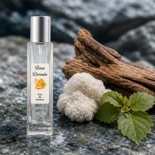 Notas de fondo del perfume equivalente a Acqua di Gio Giorgio Armani para hombre Notas de fondo del perfume equivalente a Acqua di Gio Giorgio Armani para hombre
