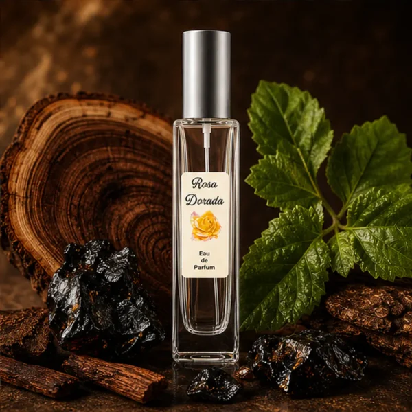 Notas de fondo del perfume equivalente a Black XS Paco Rabanne para hombre