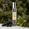 Notas de fondo del perfume equivalente a L'Homme Rochas para hombre