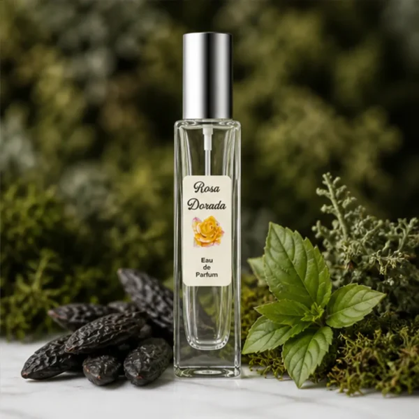 Notas de fondo del perfume equivalente a L'Homme Rochas para hombre