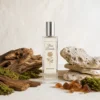 Notas de fondo del perfume equivalente a Light Blue Pour Homme Summer Vibes Dolce & Gabbana para hombre