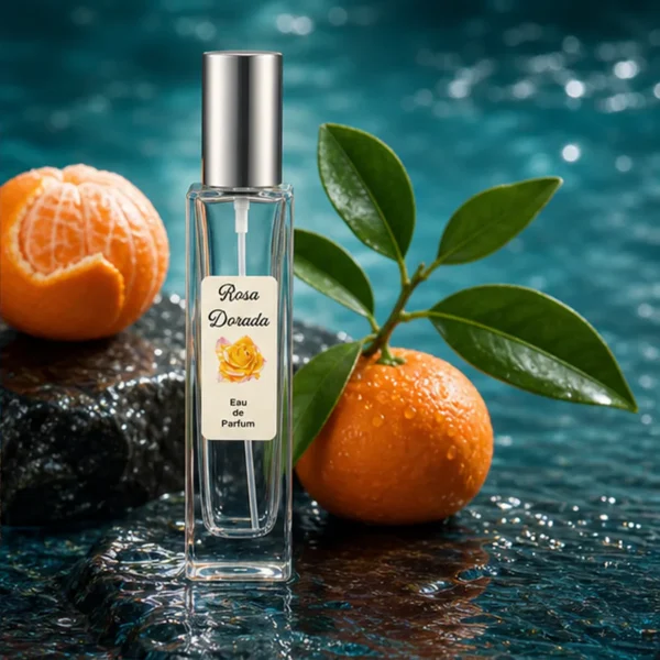 Notas de salida del perfume equivalente a Aqva Pour Homme Bvlgari para hombre Notas de salida del perfume equivalente a Aqva Pour Homme Bvlgari para hombre