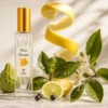 Notas de salida del perfume equivalente a Escale à Portofino Dior para mujer