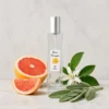Notas de salida del perfume equivalente a Grey Vetiver Tom Ford para hombre