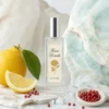 Notas de salida del perfume equivalente a Light Blue Pour Homme Summer Vibes Dolce & Gabbana para hombre