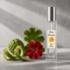 Notas de salida del perfume equivalente a Paradigme Prada para hombre