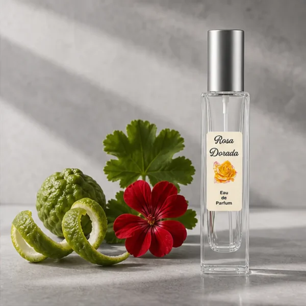 Notas de salida del perfume equivalente a Paradigme Prada para hombre