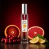 Notas de salida del perfume equivalente a Polo Red Ralph Lauren para hombre