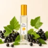 Notas de salida del perfume equivalente a Sì Giorgio Armani para mujer Notas de salida del perfume equivalente a Sì Giorgio Armani para mujer