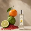 Notas de salida del perfume equivalente a Solo Cedro Loewe para hombre