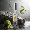 Notas de salida del perfume equivalente a Terre d'Hermès Intense para hombre